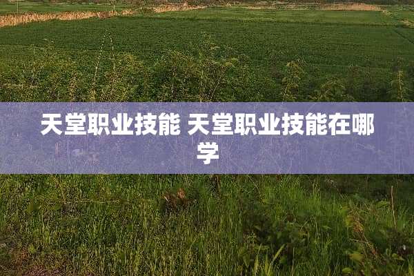 天堂职业技能 天堂职业技能在哪学