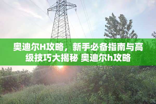 奥迪尔H攻略，新手必备指南与高级技巧大揭秘 奥迪尔h攻略