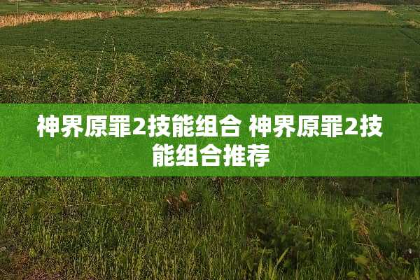 神界原罪2技能组合 神界原罪2技能组合推荐