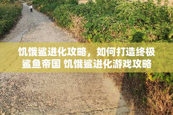 饥饿鲨进化攻略，如何打造终极鲨鱼帝国 饥饿鲨进化游戏攻略