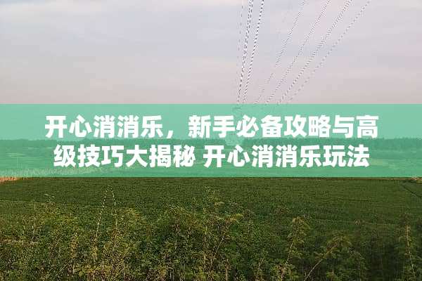 开心消消乐，新手必备攻略与高级技巧大揭秘 开心消消乐玩法