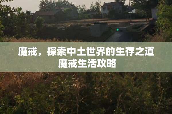 魔戒，探索中土世界的生存之道 魔戒生活攻略