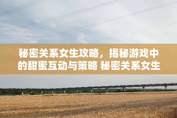 秘密关系女生攻略，揭秘游戏中的甜蜜互动与策略 秘密关系女生游戏攻略