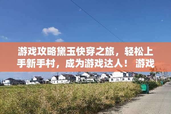 游戏攻略黛玉快穿之旅，轻松上手新手村，成为游戏达人！ 游戏小白黛玉快穿攻略