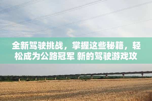 全新驾驶挑战，掌握这些秘籍，轻松成为公路冠军 新的驾驶游戏攻略