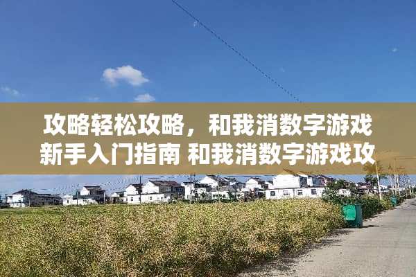 攻略轻松攻略，和我消数字游戏新手入门指南 和我消数字游戏攻略