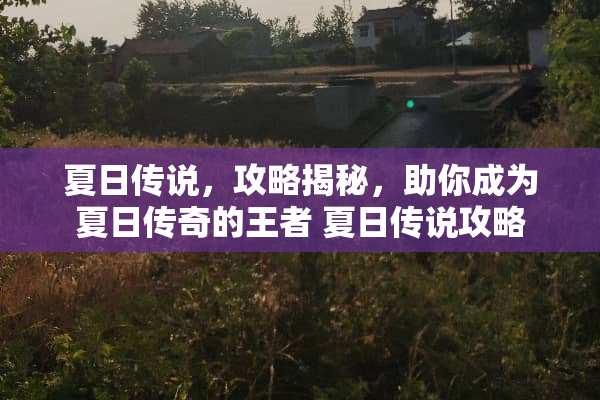 夏日传说，攻略揭秘，助你成为夏日传奇的王者 夏日传说攻略