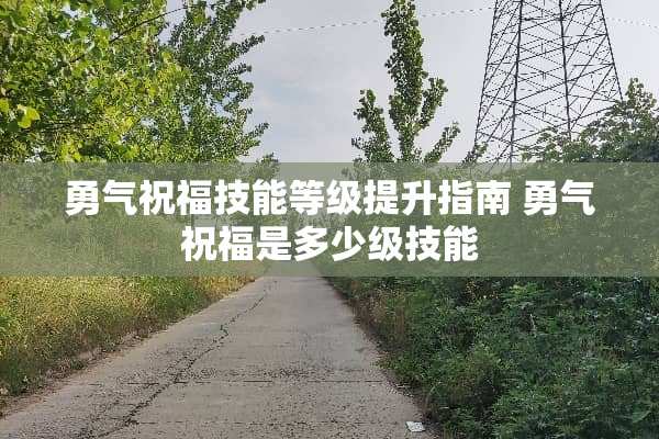 勇气祝福技能等级提升指南 勇气祝福是多少级技能