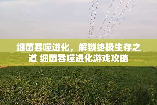 细菌吞噬进化，解锁终极生存之道 细菌吞噬进化游戏攻略