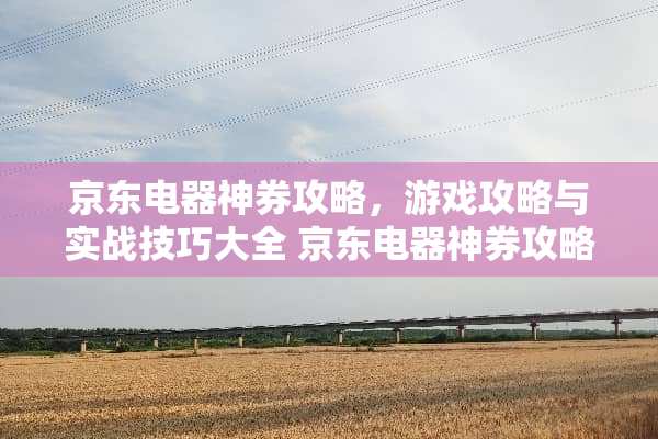 京东电器神券攻略，游戏攻略与实战技巧大全 京东电器神券攻略游戏