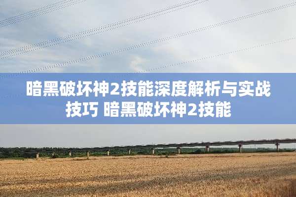 暗黑破坏神2技能深度解析与实战技巧 暗黑破坏神2技能