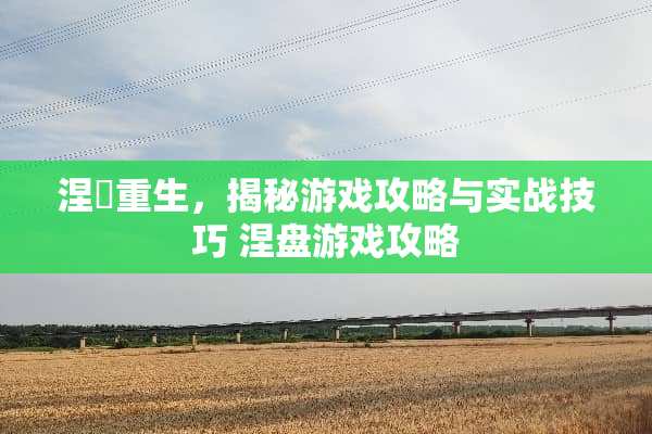涅槃重生，揭秘游戏攻略与实战技巧 涅盘游戏攻略