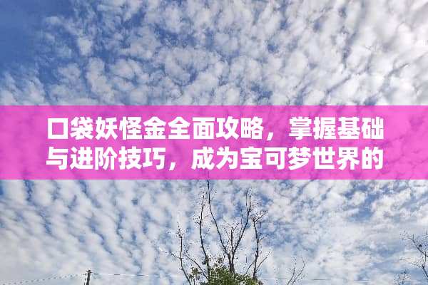 口袋妖怪金全面攻略，掌握基础与进阶技巧，成为宝可梦世界的新手英雄 口袋妖怪金攻略游戏