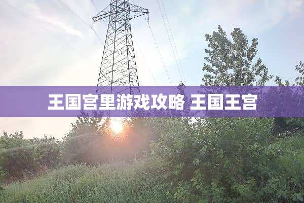 王国宫里游戏攻略 王国王宫