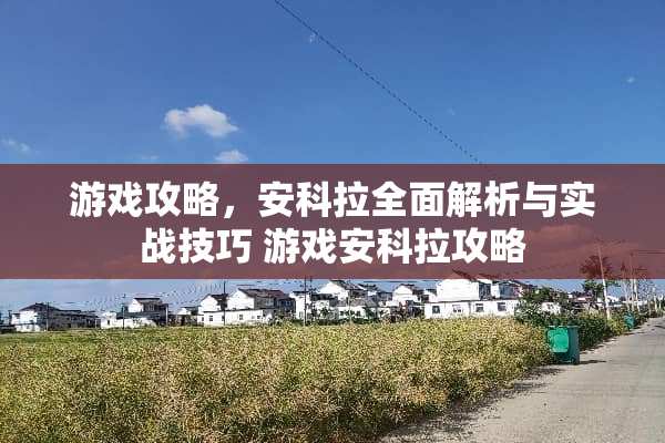 游戏攻略，安科拉全面解析与实战技巧 游戏安科拉攻略