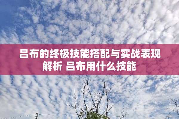 吕布的终极技能搭配与实战表现解析 吕布用什么技能