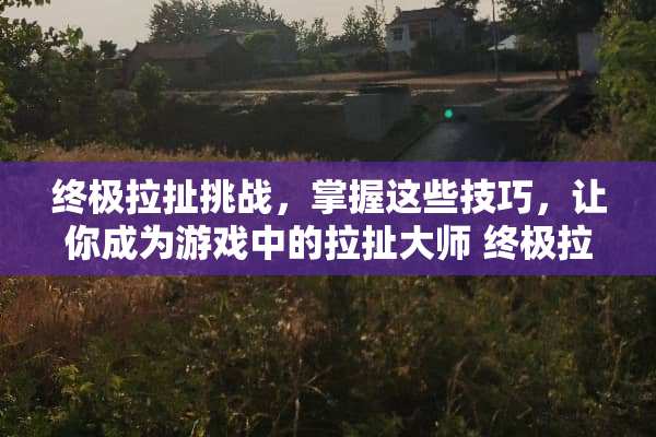 终极拉扯挑战，掌握这些技巧，让你成为游戏中的拉扯大师 终极拉扯小游戏攻略