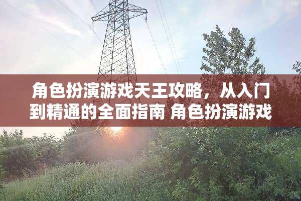 角色扮演游戏天王攻略，从入门到精通的全面指南 角色扮演游戏天王攻略