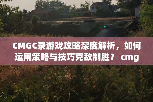 CMGC录游戏攻略深度解析，如何运用策略与技巧克敌制胜？ cmgc录游戏攻略