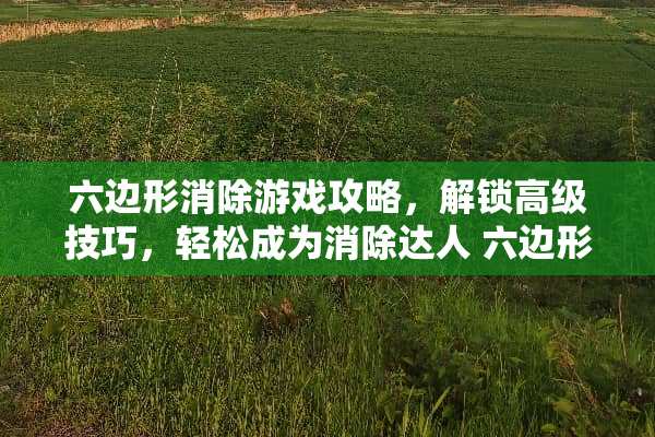 六边形消除游戏攻略，解锁高级技巧，轻松成为消除达人 六边形消除游戏攻略