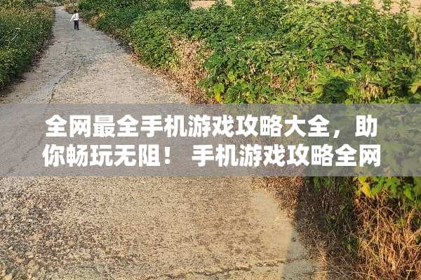 全网最全手机游戏攻略大全，助你畅玩无阻！ 手机游戏攻略全网版下载