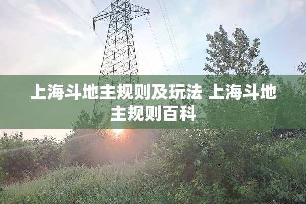 上海***规则及玩法 上海***规则百科