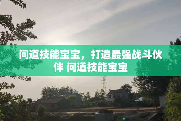 问道技能宝宝，打造最强战斗伙伴 问道技能宝宝