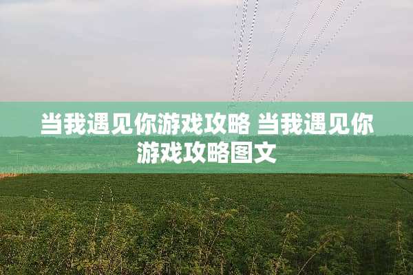 当我遇见你游戏攻略 当我遇见你游戏攻略图文