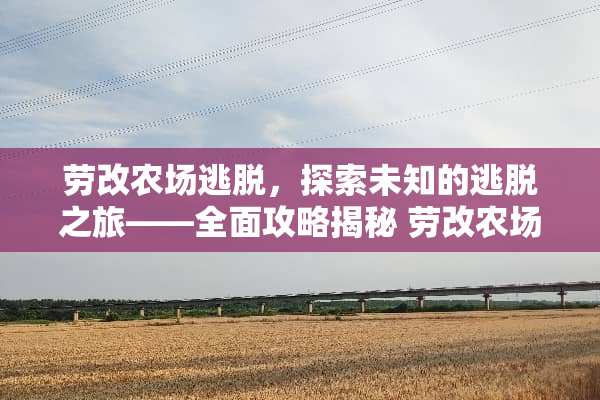 **农场逃脱，探索未知的逃脱之旅——全面攻略揭秘 **农场逃脱游戏攻略