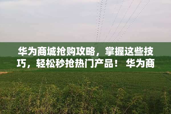 华为商城抢购攻略，掌握这些技巧，轻松秒抢热门产品！ 华为商城抢购攻略