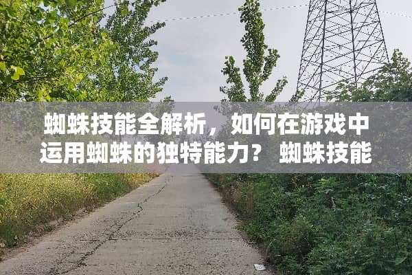 蜘蛛技能全解析，如何在游戏中运用蜘蛛的独特能力？ 蜘蛛技能介绍
