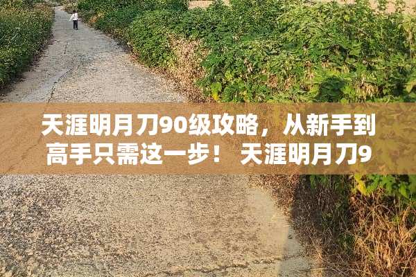 天涯明月刀90级攻略，从新手到高手只需这一步！ 天涯明月刀90本攻略