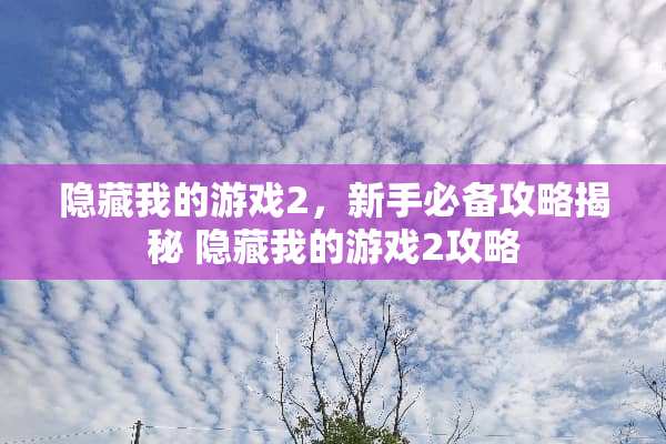 隐藏我的游戏2，新手必备攻略揭秘 隐藏我的游戏2攻略