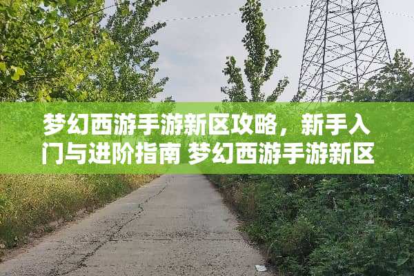 梦幻西游手游新区攻略，新手入门与进阶指南 梦幻西游手游新区攻略