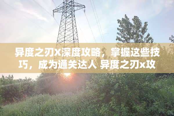 异度之刃X深度攻略，掌握这些技巧，成为通关达人 异度之刃x攻略