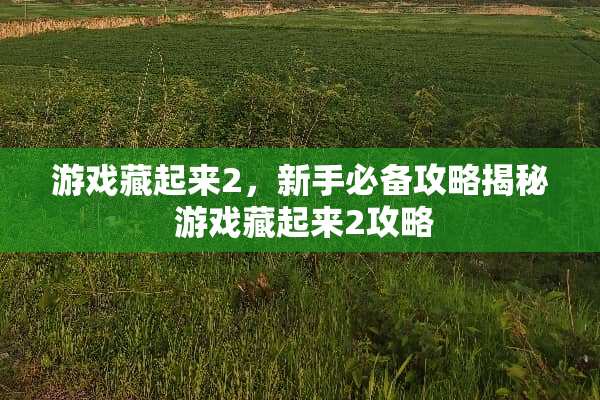 游戏藏起来2，新手必备攻略揭秘 游戏藏起来2攻略