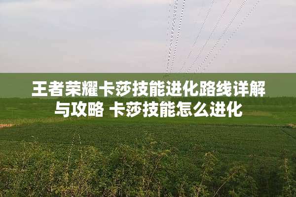 王者荣耀卡莎技能进化路线详解与攻略 卡莎技能怎么进化
