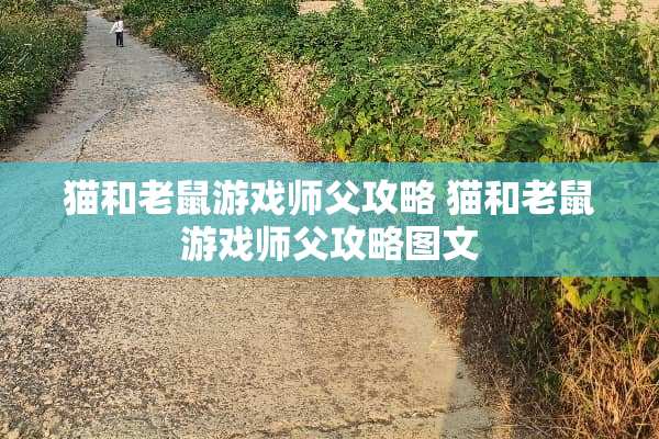 猫和老鼠游戏师父攻略 猫和老鼠游戏师父攻略图文