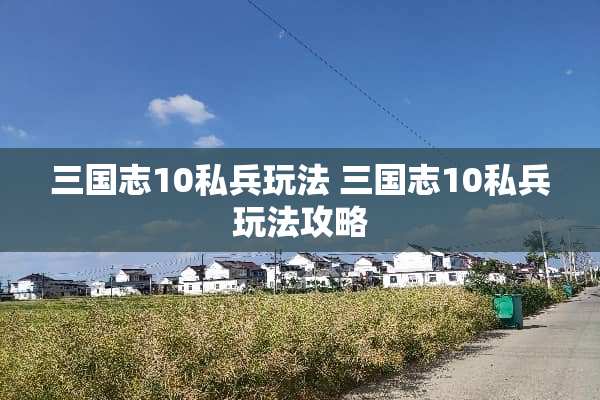 三国志10私兵玩法 三国志10私兵玩法攻略