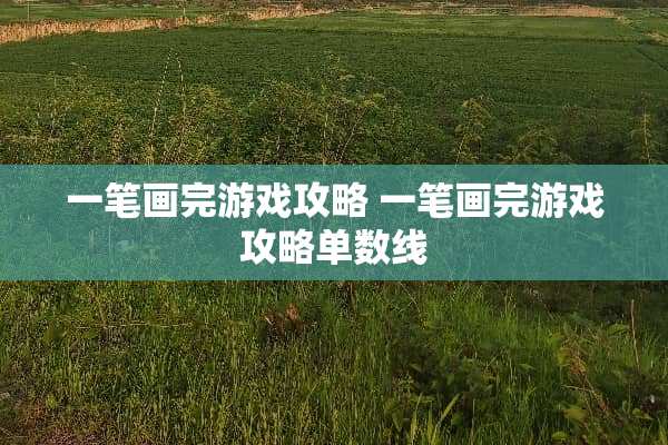 一笔画完游戏攻略 一笔画完游戏攻略单数线