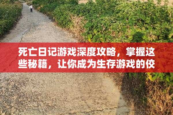死亡日记游戏深度攻略，掌握这些秘籍，让你成为生存游戏的佼佼者！ 死亡日记游戏攻略