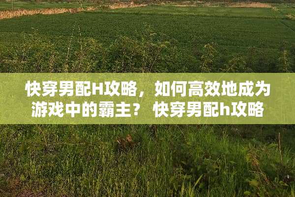 快穿男配H攻略，如何高效地成为游戏中的霸主？ 快穿男配h攻略