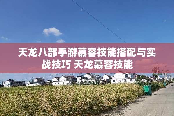 天龙八部手游慕容技能搭配与实战技巧 天龙慕容技能