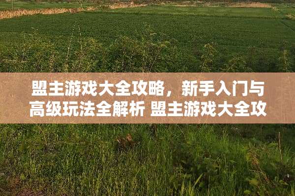 盟主游戏大全攻略，新手入门与高级玩法全解析 盟主游戏大全攻略