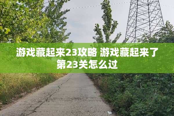 游戏藏起来23攻略 游戏藏起来了第23关怎么过