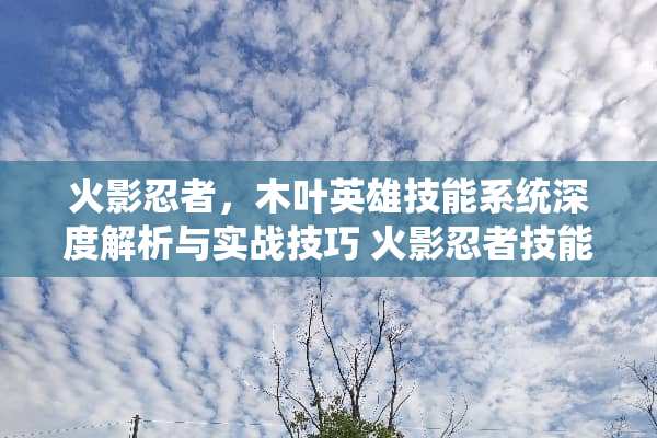 火影忍者，木叶英雄技能系统深度解析与实战技巧 火影忍者技能