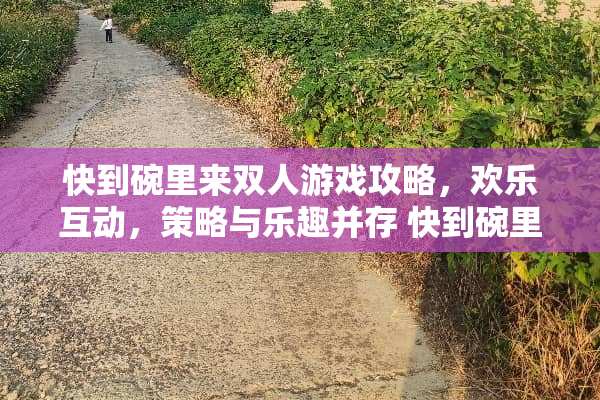 快到碗里来双人游戏攻略，欢乐互动，策略与乐趣并存 快到碗里来双人游戏攻略