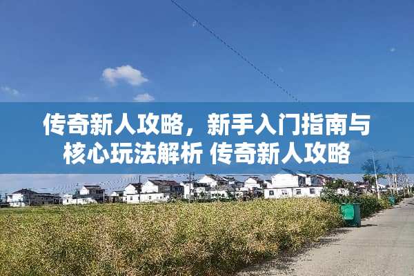 传奇新人攻略，新手入门指南与核心玩法解析 传奇新人攻略