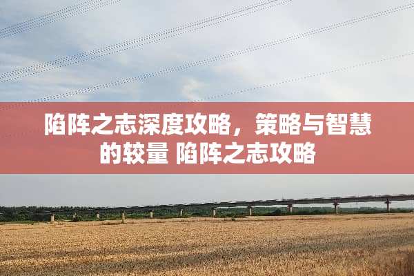 陷阵之志深度攻略，策略与智慧的较量 陷阵之志攻略