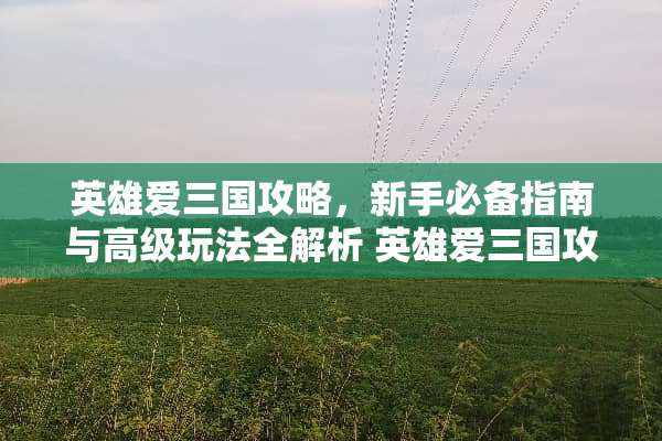 英雄爱三国攻略，新手必备指南与高级玩法全解析 英雄爱三国攻略